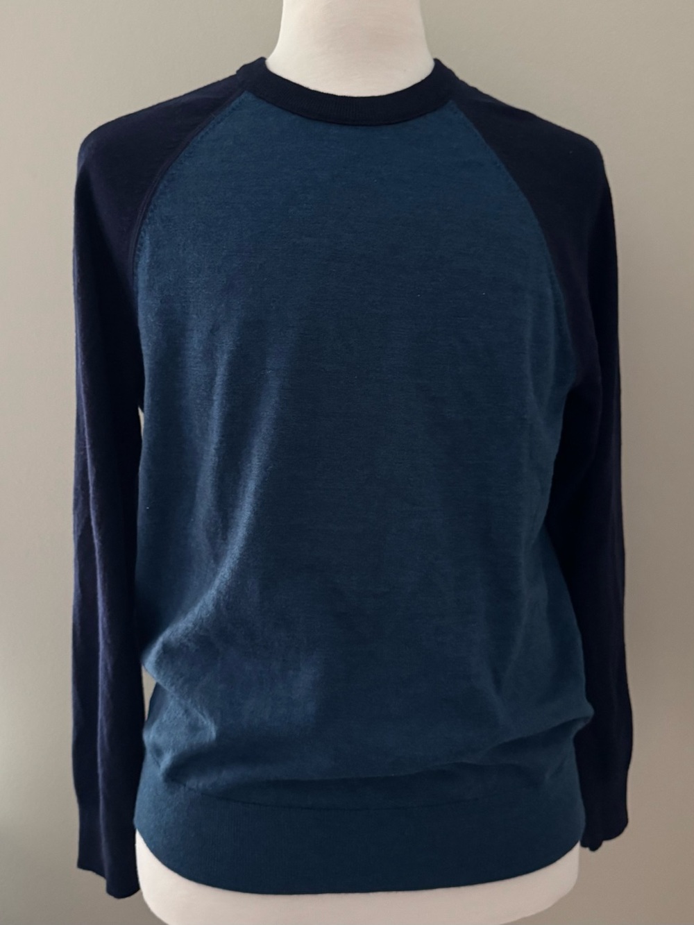 Banana Republic Marino Wool Italian Baruffa Yarn Men’s Large Sweater